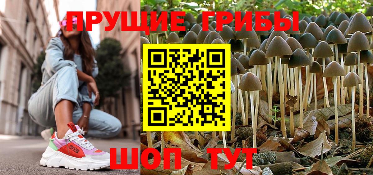 Псилоцибиновые грибы GOLDEN TEACHER Мичуринск