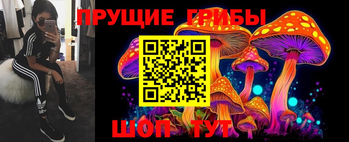 Галлюциногенные грибы Psilocybine cubensis  Вход с VPN  Мичуринск 