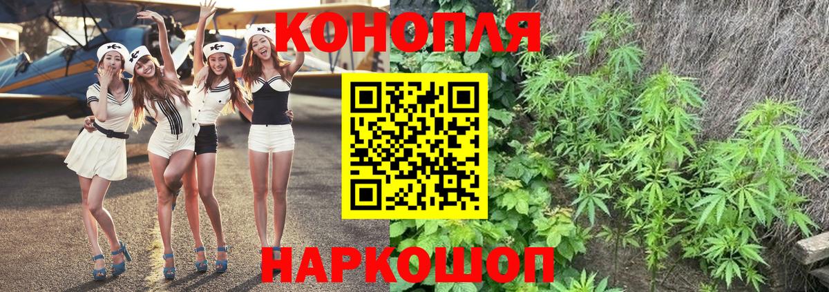Канабис ГИДРОПОН  Каннабис OG Kush  Вход с VPN  Бошки марихуана конопля  Мичуринск  Каннабис семена 